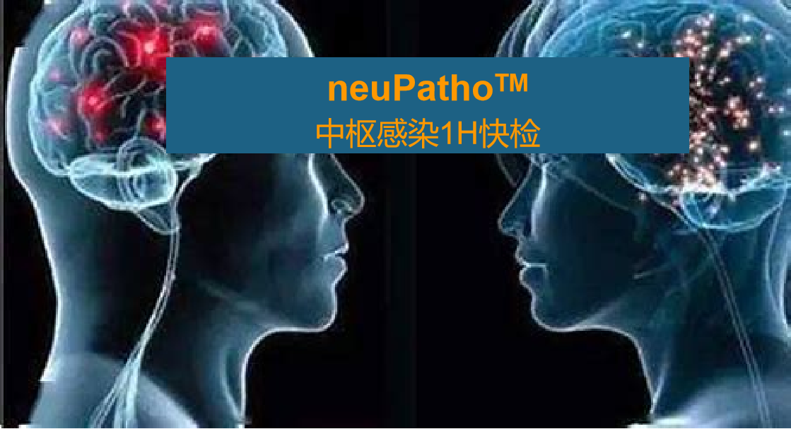 neuPatho，中枢感染病原谱