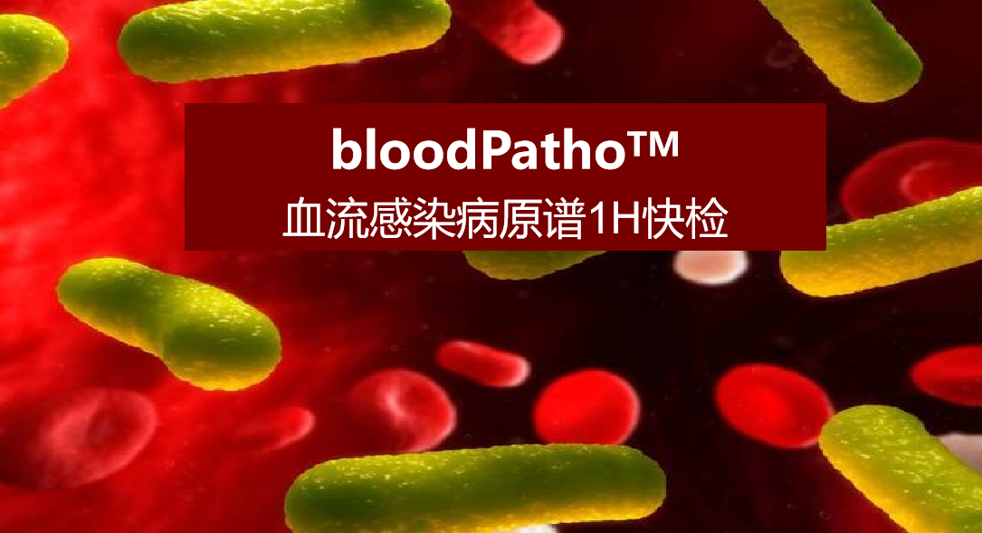 bloodPatho，血流感染病原谱